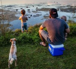 Coleman 16QT Performance Tricolor Koelbox - 15L - Blauw/Grijs -Campingwinkel 1200x1094 9