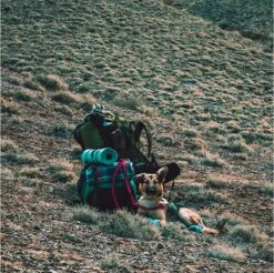 LOWLAND OUTDOOR® Donzen Slaapzak - Super Compact Blanket - 210 X 80 Cm - 590gr +8°C -Campingwinkel 1200x1196 15