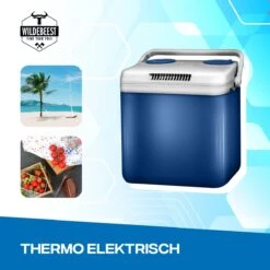 Koelbox Met ECO Modus Voor Auto & Camping Warm En Koud 32L - Frigobox Elektrisch 32 Liter Met 12v 230 Volt - Verkoelt En Verwamt - MiniBar - Mini Koelkast -Campingwinkel 1200x1200 1025