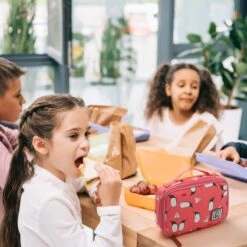 Brisby 4 Laags Geïsoleerde Koeltas - Lunchtas 1.5 Liter - Roze Pinguïn -Campingwinkel 1200x1200 1074