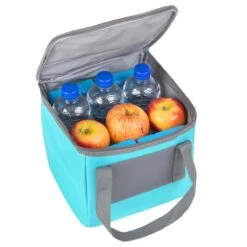 Basis Sterke Koeltas Set - 25 + 10 Liter - Lunchtas - Geïsoleerde Koeltassen - Picknicktas - Coolerbag - Blauw -Campingwinkel 1200x1200 1216
