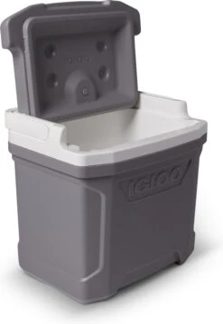 Igloo Profile II 16 - Kleine Koelbox - 15 Liter - Grijs -Campingwinkel 825x1200 2
